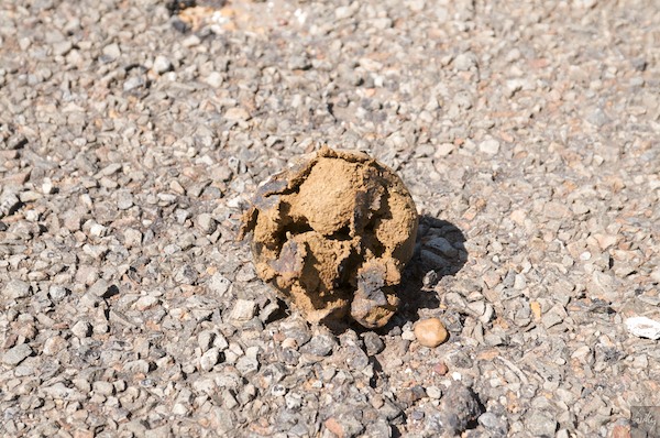 AustraliaEast 10  171